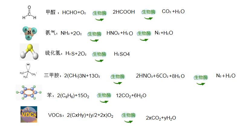 福賽生物酶凈化分解技術助力空氣治理健康安全升級