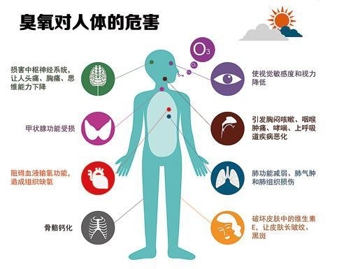 福賽生物科技治理臭氧污染