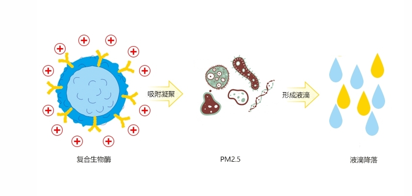 生物酶臭氧/PM2.5凈化劑助力大氣污染防治，讓冬奧藍成為常態